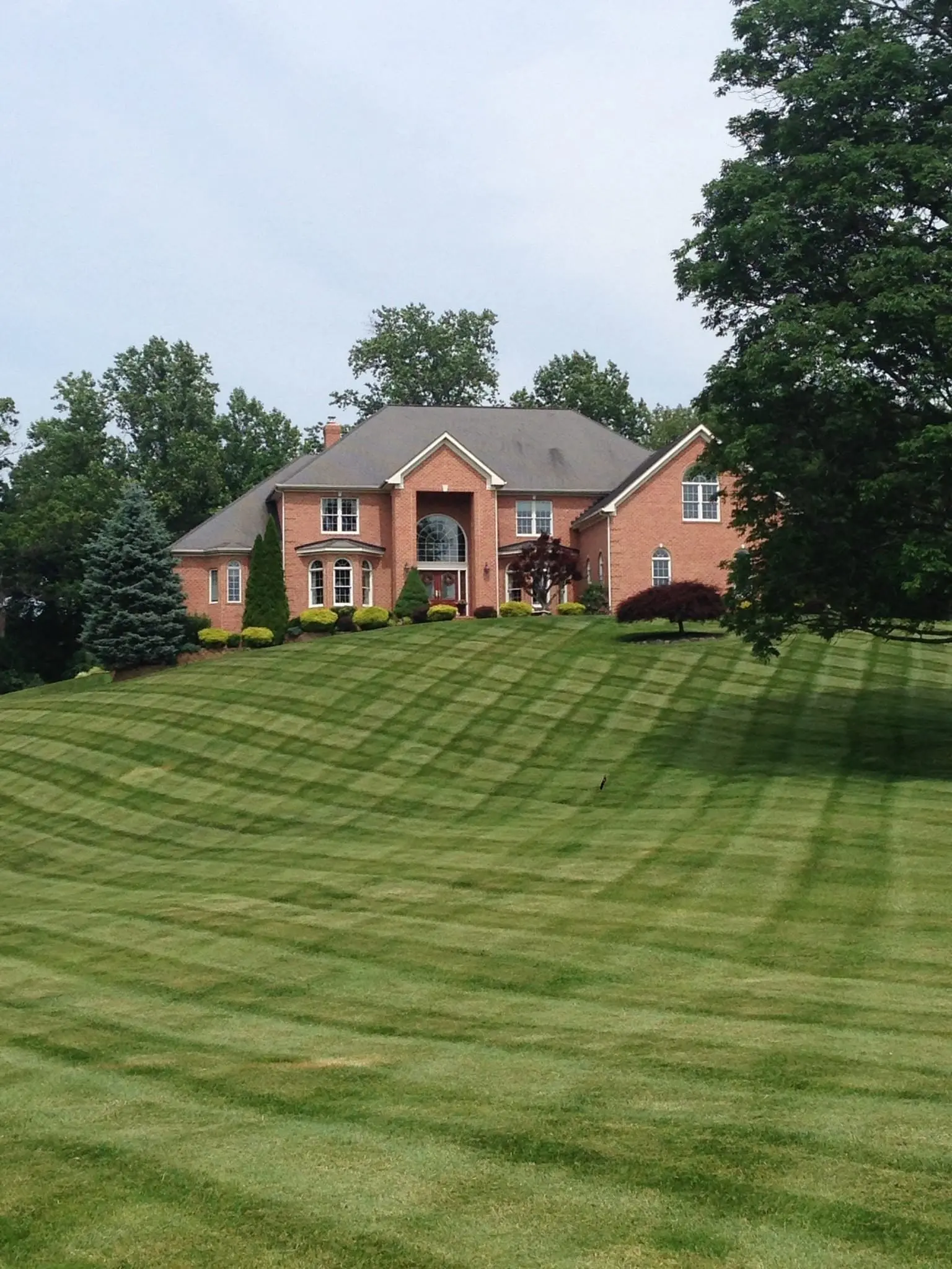 residential-lawn-mowing-company